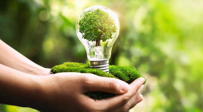 Konsep Sustainable Lifestyle: Memulai dari Rumah dengan Langkah-Langkah Kecil
